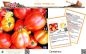 Preview: Tomate * Canestrino * für Salate und Saucen * 20 Samen